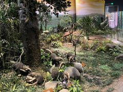 -陕西自然博物馆