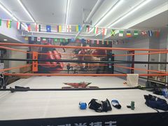 -津武堂散打搏击俱乐部(河西店)