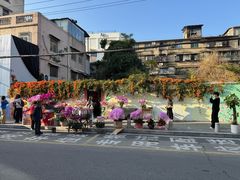 -溪岸路花鸟市场