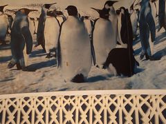 -帝企鹅自助餐厅•儿童岛•真企鹅(长隆企鹅酒店)