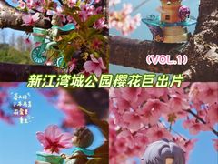 -新江湾城公园
