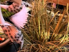 -锦上中式酒馆(南内环店)