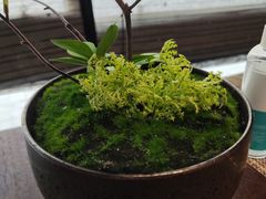 -巧庆楼·茶膳