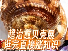 -万达广场(武汉菱角湖店)