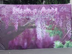 -上海市第三女子中学