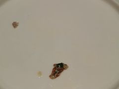 -北李妈妈菜·海肠捞饭(开发区万达店)