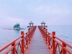 -养马岛旅游度假区