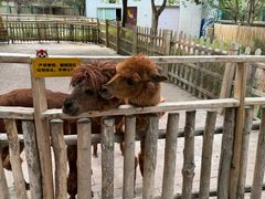 -水上乐园·欢乐世界