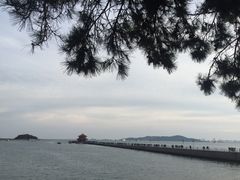 -青岛海滨风景区