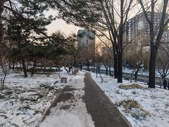 -元大都城垣遗址公园