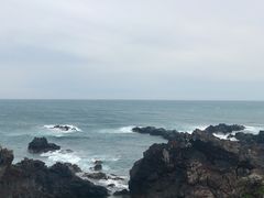 -涉地可支
