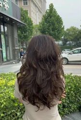 -时尚殿堂hair salon