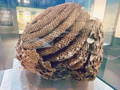 -南京中医药大学(仙林校区)