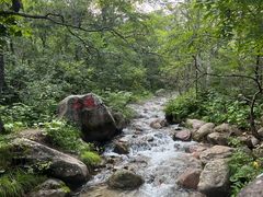 -玉渡山自然风景区