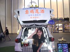 -金茂览秀城