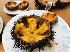 -海胆小馆(东北水饺·春柳店)