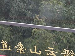 -缙云山景区