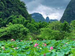 -村上春树