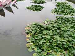 -帽儿山风景区