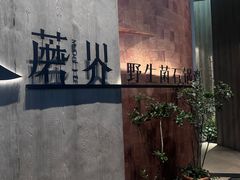 -蘑界·野生菌火锅(深业上城店)