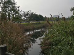 -眉山湿地公园(东坡区)