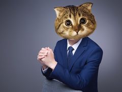 -猫头鹰照相馆(丰科万达店)