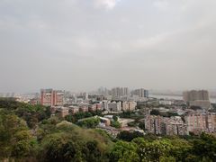 -福道