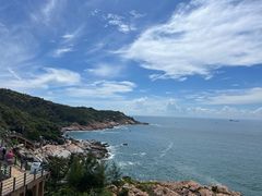 -广东惠东海龟国家级自然保护区