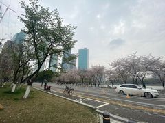 -西北湖绿化广场
