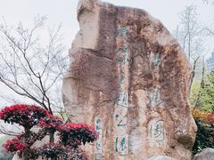 -苏州河梦清园环保主题公园