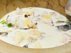 -滇香肴·云南菜蒸汽石锅鱼(云南北路店)