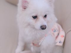 -怪兽屋·羊驼·猫咖·狗咖(俊华广场店)