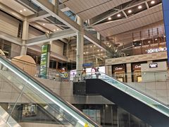 -乐天免税店(明洞店)