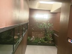 -将军牛排·尔滨地标朝鲜族美食(总店)