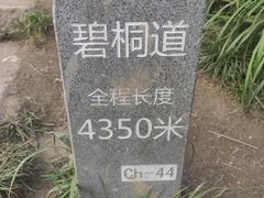 -梧桐山风景名胜区