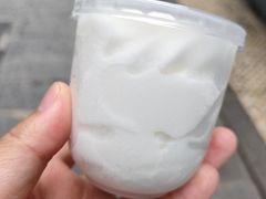 -洪馨椰子