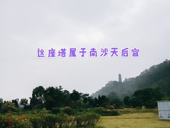 -南沙蒲洲花园