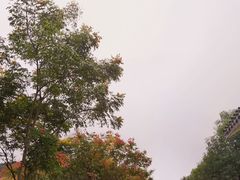 -黄陂区野村谷景区