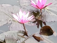 -白沙门生态公园
