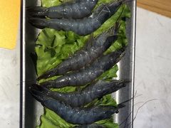 -杨记齐齐哈尔烤肉(总店)