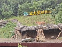 -太湖龙之梦