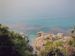 -必胜客(大梅沙8号仓店)