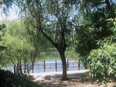 -北坞公园
