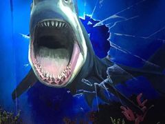 船奇.蒸汽海鲜-船奇蒸汽海鲜·闽菜(八市海鲜总店)