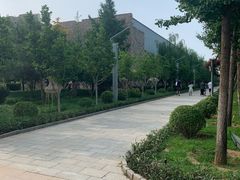 -南宫五洲植物乐园