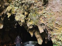 -怀托摩萤火虫洞