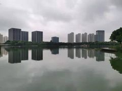 -南翔镇银翔湖公园