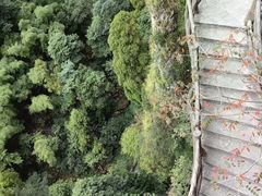 -雁荡山风景名胜区
