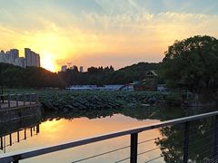 -月湖风景区