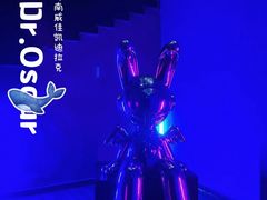 -河南威佳金凯汽车销售服务有限公司